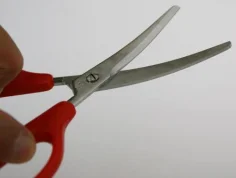SILKY Tijeras japonesas para naranjas 2