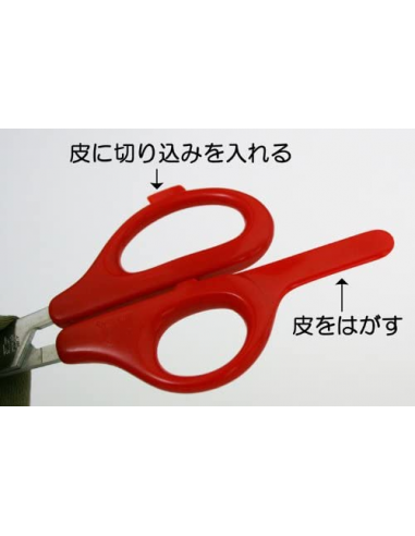 SILKY Tijeras japonesas para naranjas