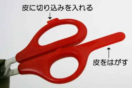 SILKY Tijeras japonesas para naranjas