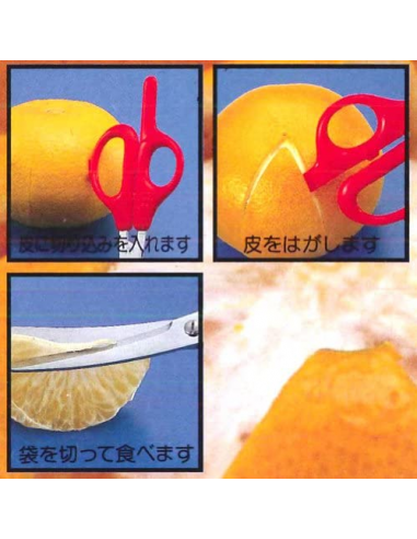 SILKY Tijeras japonesas para naranjas