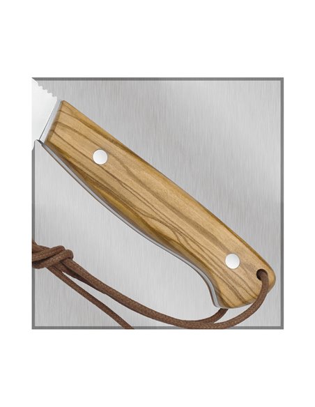 Cuchillo Miguel Nieto Linea Criollo Olivo mango