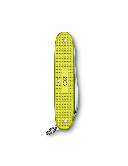 Victorinox Pioneer X Edición limitada Alox 2023 0.8231.L23