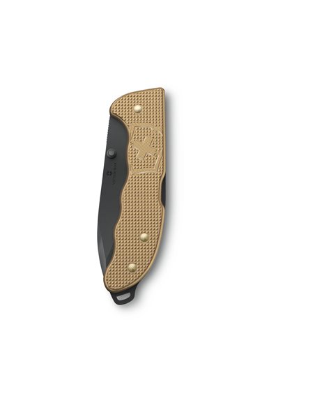 Victorinox Evoke BS Alox Beige 0.9415.DS249