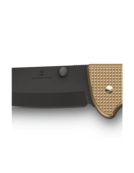 Victorinox Evoke BS Alox Beige 0.9415.DS249