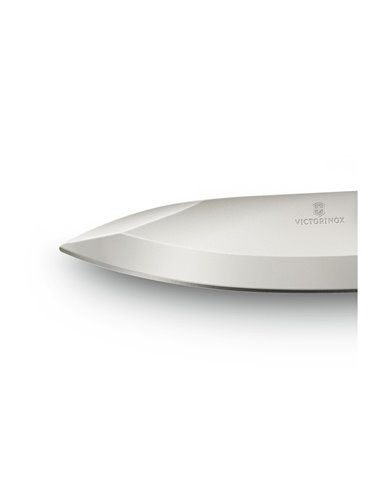 Victorinox Evoke Wood  0.9415.D630