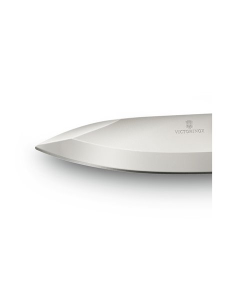 Victorinox Evoke Wood  0.9415.D630