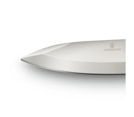 Victorinox Evoke Wood 0.9415.D630