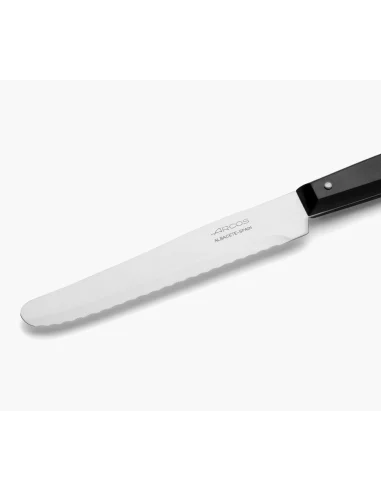 Cuchillo de Mesa Negro Nylon 115 mm Arcos – Serie Piano Classic