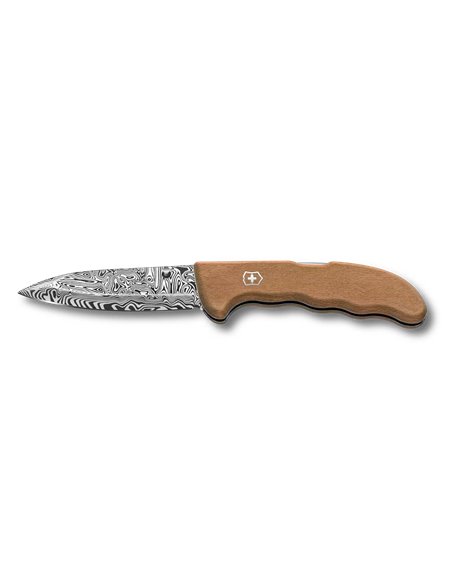 Victorinox Evoke Wood Damast – Edición Limitada 2026 (Color Café)