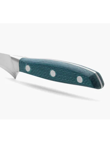 Cuchillo Jamonero Arcos Serie Brooklyn 250 mm
