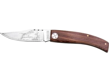 NAVAJA CAZA POINTER