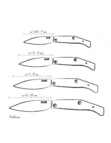 PALLARES RIPOLLES A. C.
