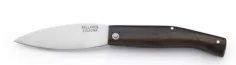 PALLARES BUSA EBANO