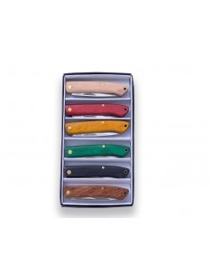 SET 6 NAVAJAS VARIOS COLORES H (JKR0499)
