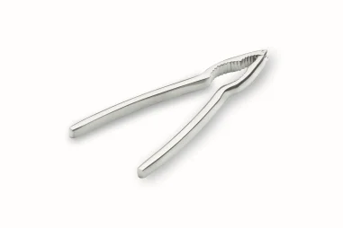 Tenaza marisco 16 cm Inox 18/10 Lacor 62908