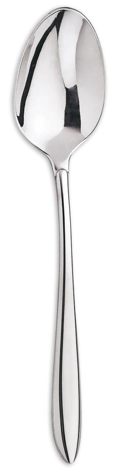 Cuchara Postre / Dessert Spoon 2
