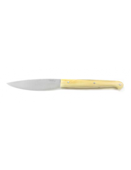 CUCHILLO MESA ESTILIZADO M/BOIX INOX
