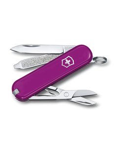 Victorinox NAVAJA CLASSIC SD COLORS, UVA DULCE 0.6223.52 2