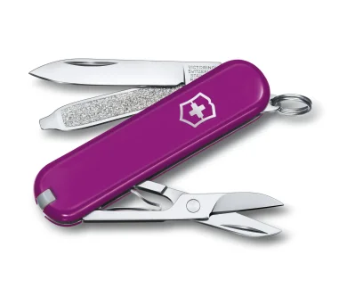 Victorinox NAVAJA CLASSIC SD COLORS, UVA DULCE 0.6223.52