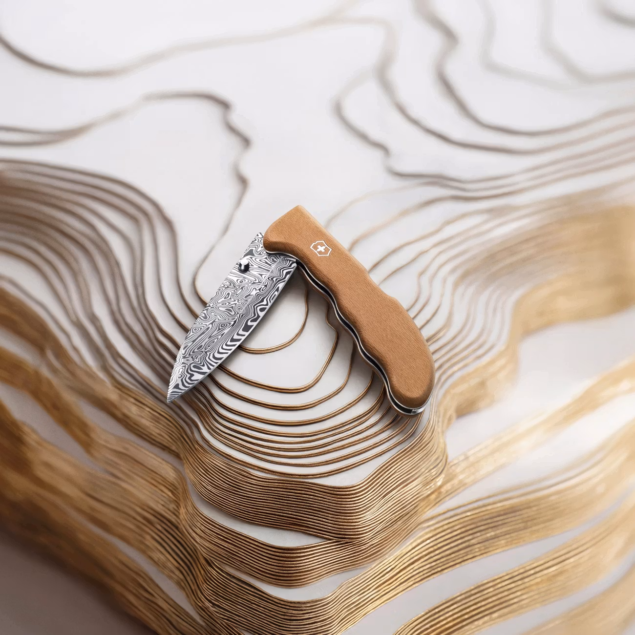 Victorinox Evoke Wood Damast 2026